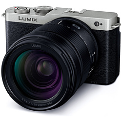 LUMIX S9 高倍率ズームレンズキット ミラーレス一眼カメラ  ダークシルバー DC-S9H-S ［ズームレンズ］